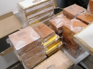 Кофер пун томпуса и девизе у боксерицама