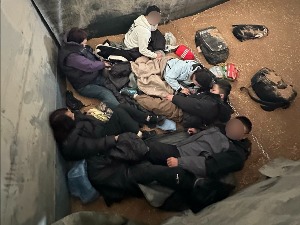 Мигранти у товару пшенице 