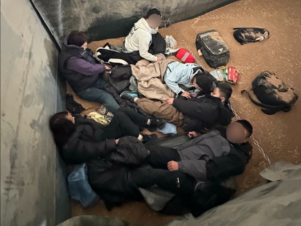 Мигранти у товару пшенице 