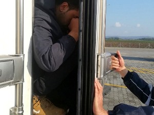 Вожња међу расадом лубенице умало кобна по мигранте