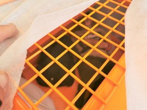 Мигранти откривени у сигурносним кавезима