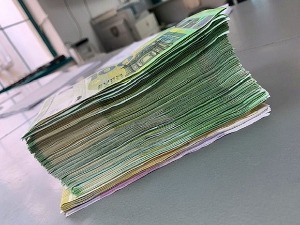 Дневник: Од почетка године заплењено 2,7 милиона непријављених евра