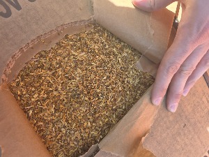 Задржано преко 14 тона дувана