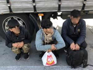 За једно пре подне на Хоргошу откривено 9 миграната