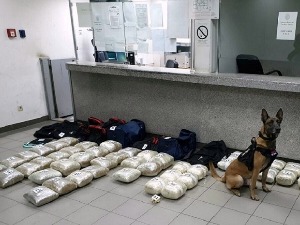 Зaплењено четири тоне различитих наркотика