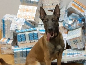 Неро нањушио преко 5.000 паклица цигарета у вентилацији аутобуса