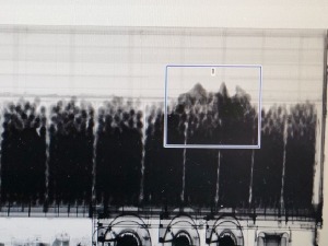 Мигранти откривени у товару купуса