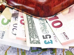 На граници заплењени дрога,папагаји,али и 3 милиона евра