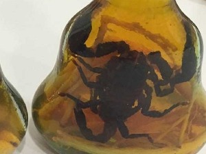 Дневник: Напици од змија и шкорпија у шверцерском ланцу