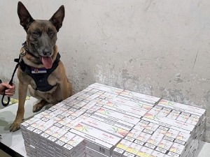 Нерон непогрешиво нањушио аутомобил пун цигарета