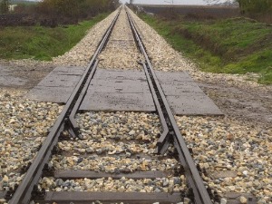 13 миграната откривено у возовима
