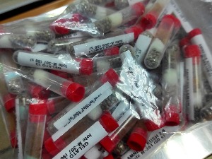  Виски и марихуана заплењени на Градини