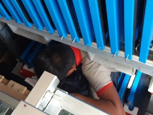 Авганистанци међу шљивама