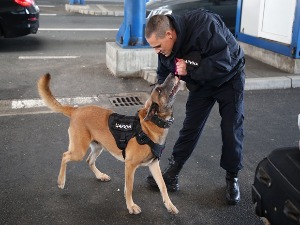 Кад открију дуван или дрогу, добију играчку