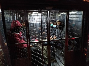 Мигранти у товару облутака