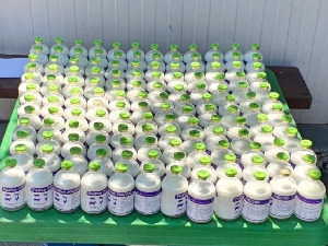 Спречено кријумчерење лекова 