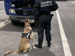 ТВ Прва: Важна улога службених паса у откривању кријумчарења