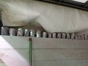 Откривено скоро 600 кг марихуане у два ''празна'' камиона