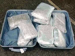 Цариници на Прешеву открили преко 30 килограма марихуане