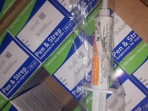 Око 1.000 ветеринарских лекова у гепеку