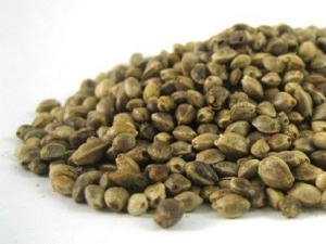 150 семенки канабиса у пошиљци