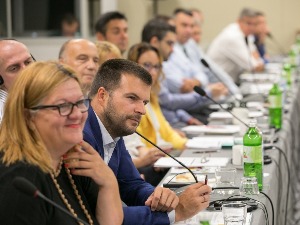 Ефикасно царињење експресних пошиљака од сада и у Србији