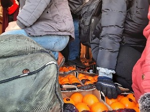 Међу мандаринама и поморанџама 12 „слепих путника“