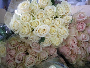 Непријављене хризантеме, љиљани и еукалиптус на Градини