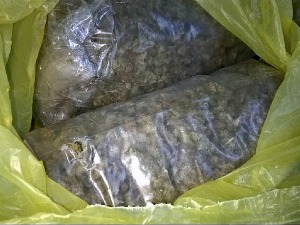 Заплењено више од 6 килограма „ничије“ марихуане