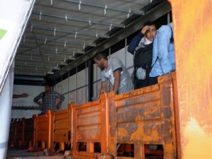 Откривено још 11 илегалаца на граници са Хрватском