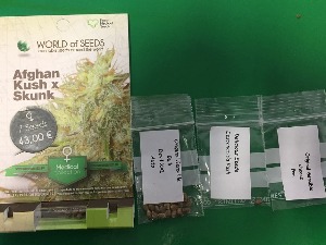 Преко 60 семенки марихуане у поштанским пошиљкама