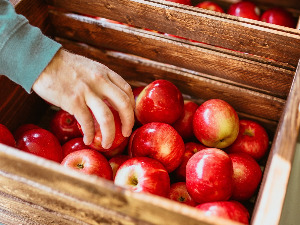  Најважније новине Споразума о слободној трговини са Евроазијском унијом