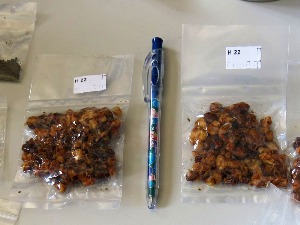 Дневник: Наркотици све чешће у поштанским пошиљкама