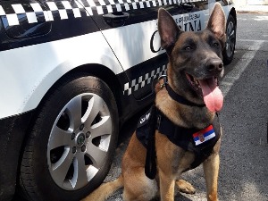 Нерон – претња за кријумчаре